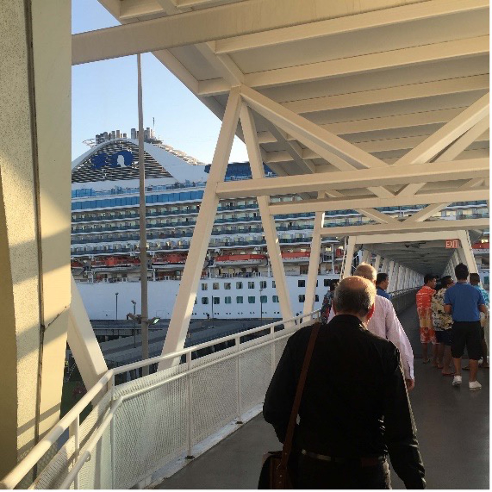 Cruise