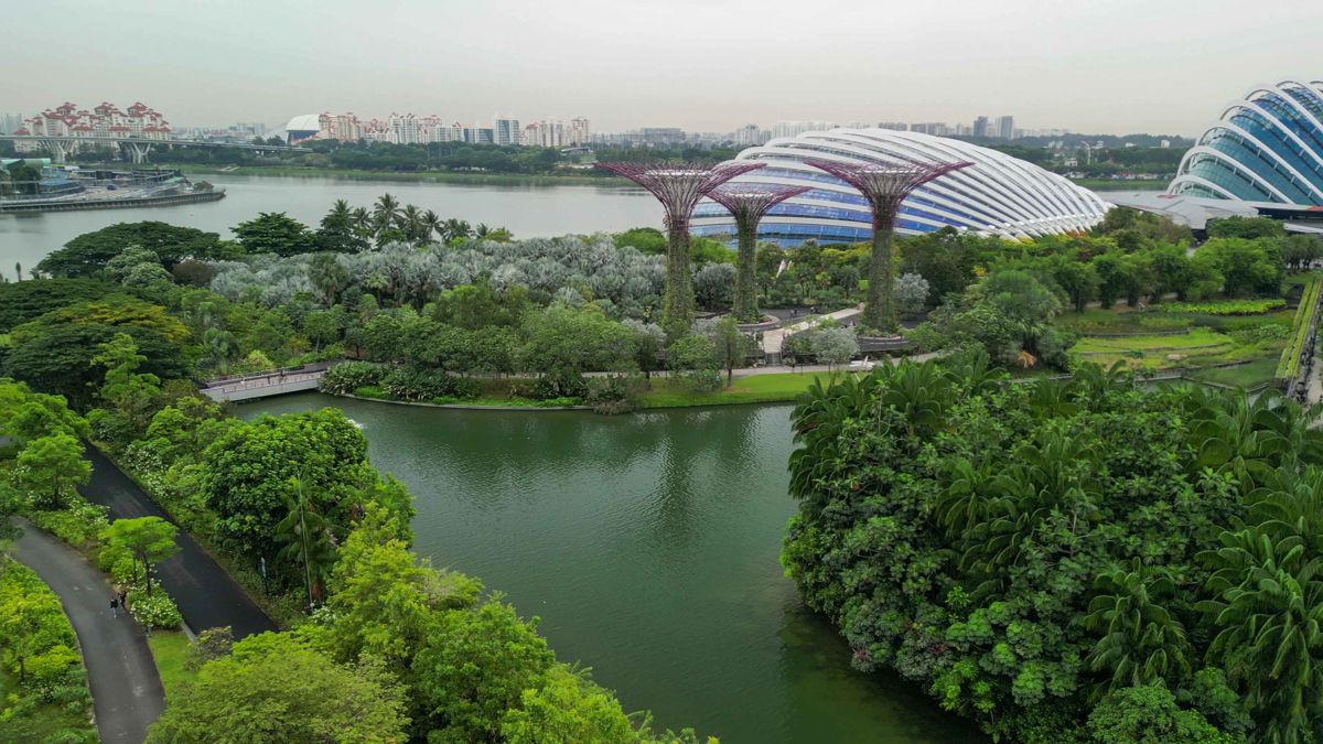 Singapore-Stock (1).jpg