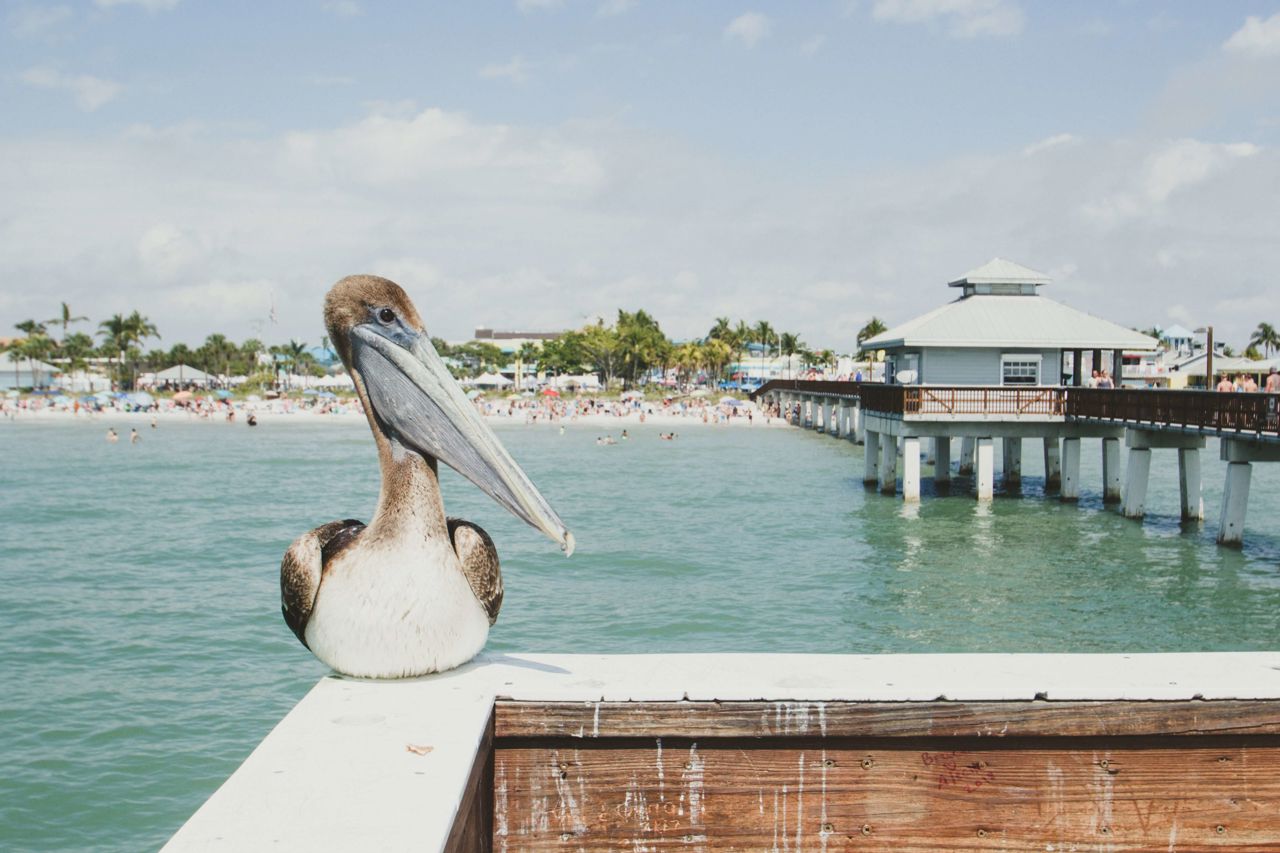 Rapid Recovery Fort Myers