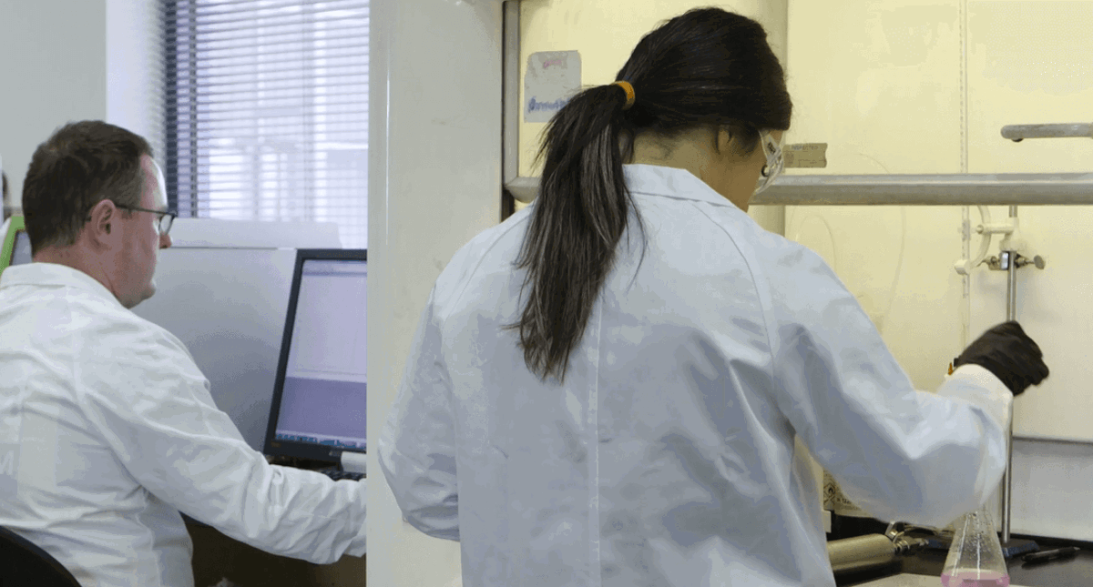 Lab Image 2