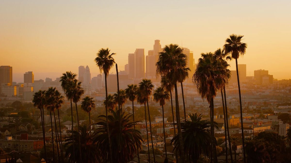 Rapid Recovery Los Angeles